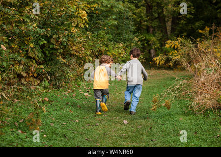 Hinter Ansicht von zwei kleinen Jungen halten sich an den Händen und laufen durch den Park Stockfoto