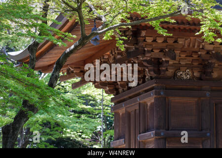 Pagode in Gotokuji Tempel in Setagaya city, Tokio, Japan. Stockfoto