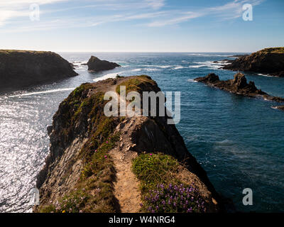 Coastal Trail auf felsigen Ocean Bluff Stockfoto