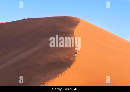 Sonne und Schatten geschossen von Düne 45 in Namibia Stockfoto