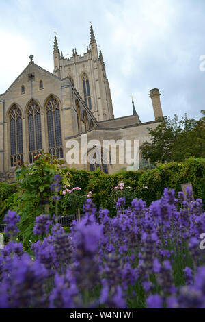 Atemberaubende St. Edmundsbury Kathedrale im Hintergrund, unterschiedliche Perspektive von Abbey Gardens, Bury St. Edmunds, Suffolk Stockfoto