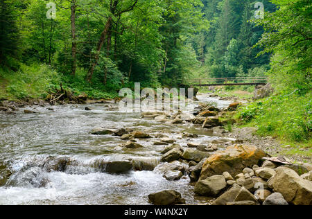 Holz- brücke im Tal des Berg River. Karpaten Landschaft. Stockfoto