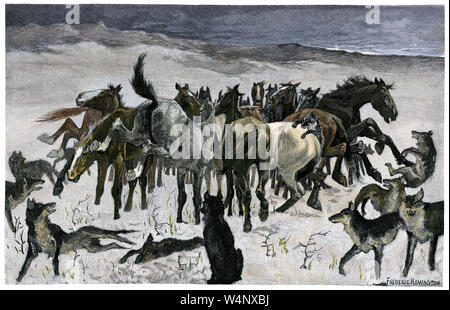 Horse Herde kämpfen weg timber Wölfe auf den Winter High Plains. Hand - farbige Holzschnitt von Frederic Remington Abbildung Stockfoto