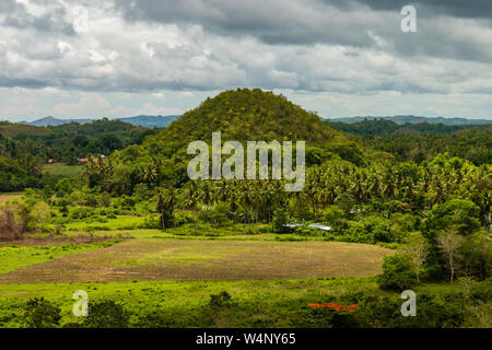 Die konische Form Kalkstein Karst und einzigartige Landschaft der Bohol "Chocolate Hills" in den Philippinen Stockfoto
