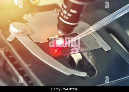 Mikroskop im medizinischen Labor Analyse einer Probe Stockfoto