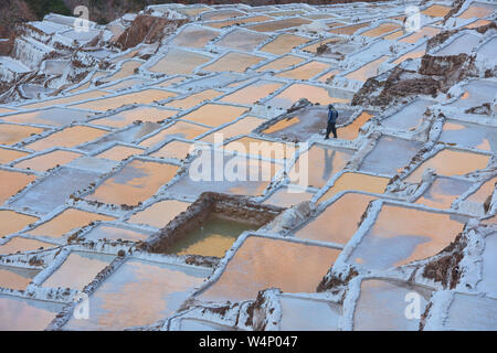 Sonnenuntergang Reflexionen über die Salinen von Maras, das Heilige Tal, Peru Stockfoto