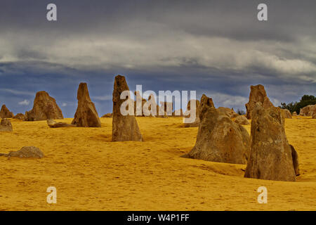 Eindrucksvollen Kalksteinformationen der Pinnacles Wüste im Nambung Nationalpark von Western Australia. Horizontales Bild von verwitterten Säulen Stockfoto