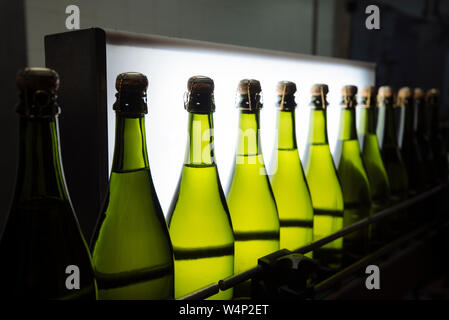 Grünes Glas Flaschen Cava Sekt mit Korken auf Traverse gegen Licht, in Penedes region, Katalonien, Spanien Stockfoto