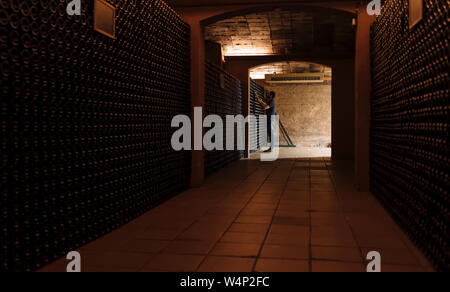 Sicht auf den Menschen in dunklen Weinkeller legen Flaschen Cava Champagner in den Regalen Penedes region, Katalonien, Spanien Stockfoto