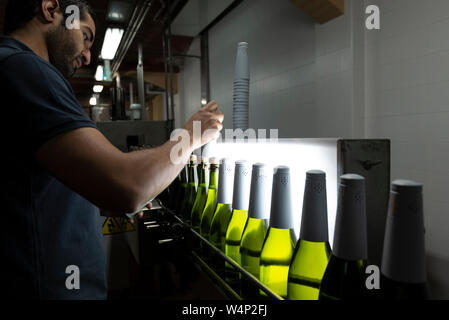 Seitenansicht des Menschen, die die weiße Folie wickelt auf grünes Glas Flaschen Cava, Penedes region, Katalonien, Spanien Stockfoto