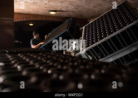 Professionelle man in fertigen Keller arbeiten mit Sonderausstattung für Sekt Produktion im Penedes region, Katalonien, Spanien Stockfoto