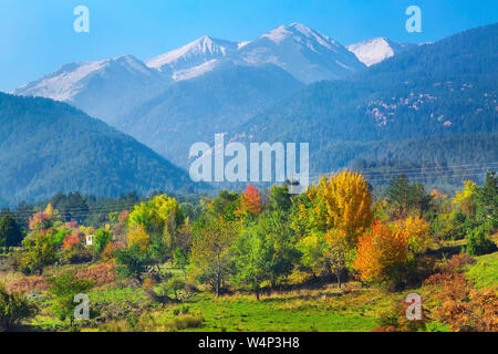 Herbst panorama Hintergrund des Pirin, Bulgarien mit bunten Grün, Rot und Gelb Bäume und Berge Gipfel Stockfoto