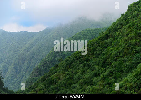 Bewaldete Berge im Nebel. Blick vom Aussichtspunkt Balcoes in Ribeiro Frio auf der portugiesischen Insel Madeira Stockfoto