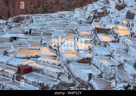 Sonnenuntergang Reflexionen über die Salinen von Maras, das Heilige Tal, Peru Stockfoto