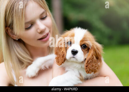 Junge schöne Frauen umarmen mit dem Cocker Spaniel hund Stockfoto