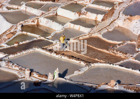 Arbeitnehmer durch die Salinen von Maras, das Heilige Tal, Peru umgeben Stockfoto