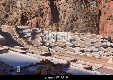 Arbeitnehmer durch die Salinen von Maras, das Heilige Tal, Peru umgeben Stockfoto