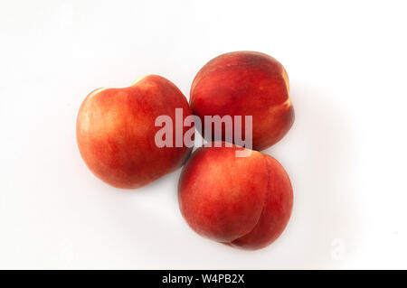 Frische saftige Pfirsiche und reife Aprikosen auf weißem Hintergrund. Sommer Obst Konzept. Close-up. Stockfoto