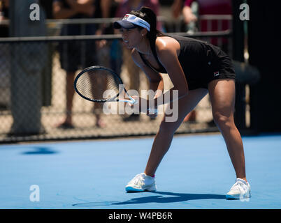 Priscilla Hon von Australien in Aktion bei Ihrem auftaktspiel am 2019 Sydney internationalen WTA Premier Tennis Turnier Stockfoto