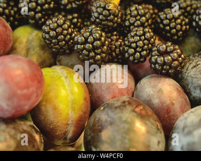 Nahaufnahme der verschiedenen Arten von Pflaumen und Brombeeren Stockfoto