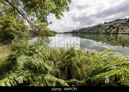 Landschaft Bild von üppigen lakeside Szene in Neuseeland Stockfoto