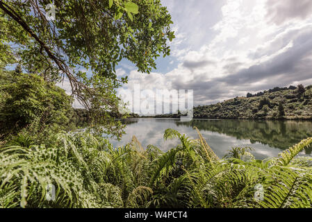 Tagesansicht des fern gesäumt See in Neuseeland Stockfoto