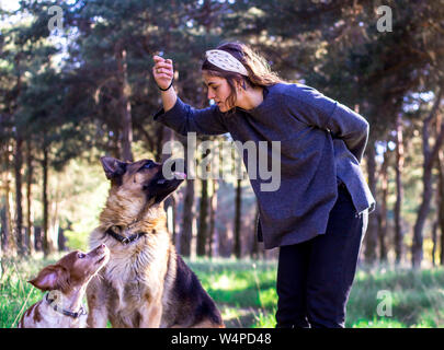 Blonde Mädchen spielen mit zwei Hunden in der Natur Stockfoto