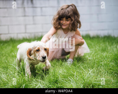 Kleines Mädchen und English Setter Welpen spielen im Garten Stockfoto