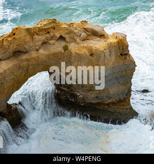 Eine der vielen schönen Blick entlang der Great Ocean Road Stockfoto