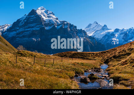 Das Wetterhorn, von Anfang an gesehen, bei Grindelwald, Schweiz. Stockfoto