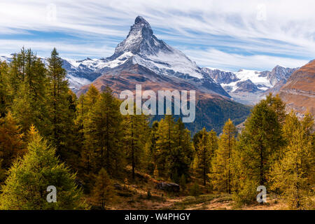 Matterhorn, wispy Clouds und Golden Lärche vom Sunnegga Wanderweg, in den Schweizer Alpen bei Zermatt, Schweiz Stockfoto