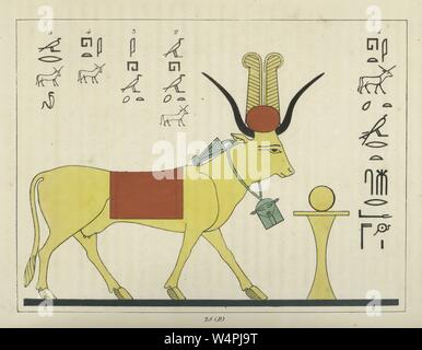 Antike Ägyptische Heiliger Stier-Apis, die mutige Herzen symbolisieren, große Kraft und Kampfgeist des Königs, Illustration aus dem Buch "Pantheon" egyptien von Leon Jean Joseph Dubois, 1824. Von der New York Public Library. () Stockfoto