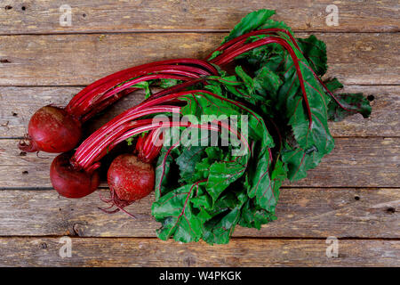 Frische Zuckerrüben mit Grün rote Bete auf Grau rustikal Hintergrund. Stockfoto