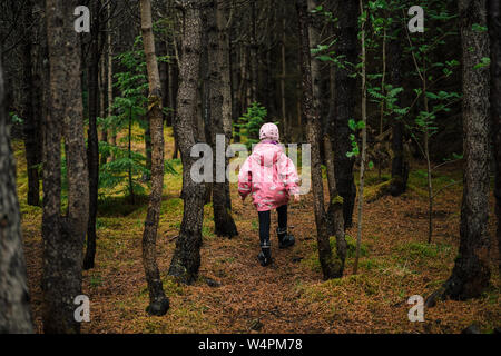 Rückansicht des neugierigen kleinen Mädchen in rosa Mantel in dunklen schönen isländischen Wald wandern unter Bäumen Stockfoto