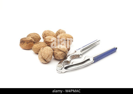 Walnüsse und Nussknacker isoliert auf weißem Hintergrund Stockfoto