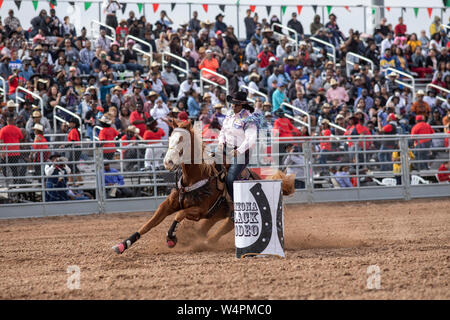 Ein cowgirl konkurriert im Barrel Racing Event an der AZ black Rodeo Stockfoto