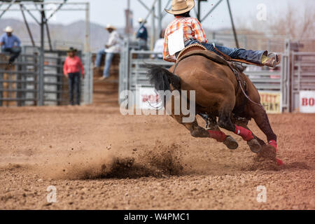 Eine weibliche Mitfahrer konkurriert im Barrel Racing Event am Schwarzen Rodeo Stockfoto