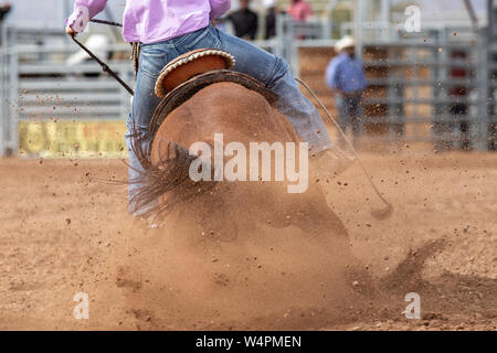 Ein Pferd tritt Staub während der Barrel Racing Event am Rodeo Stockfoto