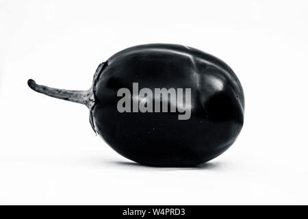 Nahaufnahme von frischen Bio ei Anlage oder bringal oder Auberginen oder Aubergine oder baingan oder Aubergine auf weißen isoliert. Stockfoto