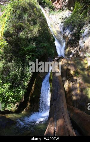 BIg Sur, Kalifornien, USA. 30. Juni, 2019. Der Kalkofen State Park ist einer der schönsten Parks in der Big Sur. 1994 gegründet, das 710 Hektar große Park ist die Heimat von redwoods, ein Strand, ein Wasserfall und vier 100 Fuß hohen Kalköfen in den späten 1800er verwendet. Es ist eingehüllt in einen schönen und üppigen Wald und fühlt sich oft wie Sie in eine Traumwelt gefegt wurden, wie sie die Wanderwege entlang den Waldboden. Credit: Katrina Kochneva/ZUMA Draht/Alamy leben Nachrichten Stockfoto