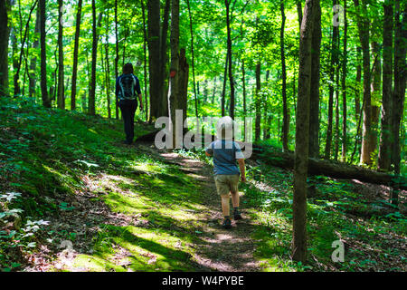 Abenteuerliche toddler Verfangen bis zu Mama auf einem bewaldeten Wanderweg. Stockfoto