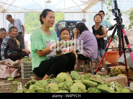 Juli 25, 2019, Jiangxi, Jiangxi, China: Jiangxi, China - (redaktionelle Verwendung. CHINA) Am 24. Juli 2019, ZhangJiuying, ein Landwirt, frisch verkauft Lotus Samen von der Basis nach Peking, Guangzhou und anderen Orten durch die live-Übertragung auf Ihr Mobiltelefon aufgenommen am bihewan industriellen Basis, hongshan Dorf, Stadt, bizhou suichuan County, Jiangxi Provinz Jiangxi suichuan e-commerce in ländlichen effiziente Praxis und Strom typische Muster für die Linderung der Armut, "Live wechat Business kurze Video'' als das wichtigste Mittel, durch freie on-line-strom Business Training, Tracking, guid Stockfoto