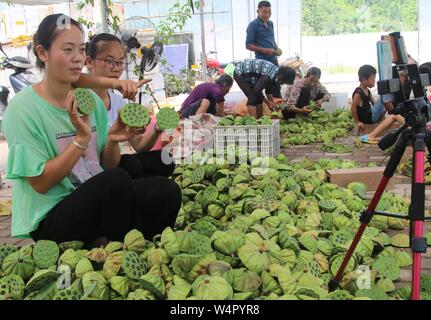 Juli 25, 2019, Jiangxi, Jiangxi, China: Jiangxi, China - (redaktionelle Verwendung. CHINA) Am 24. Juli 2019, ZhangJiuying, ein Landwirt, frisch verkauft Lotus Samen von der Basis nach Peking, Guangzhou und anderen Orten durch die live-Übertragung auf Ihr Mobiltelefon aufgenommen am bihewan industriellen Basis, hongshan Dorf, Stadt, bizhou suichuan County, Jiangxi Provinz Jiangxi suichuan e-commerce in ländlichen effiziente Praxis und Strom typische Muster für die Linderung der Armut, "Live wechat Business kurze Video'' als das wichtigste Mittel, durch freie on-line-strom Business Training, Tracking, guid Stockfoto