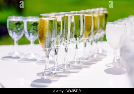 Gläser Champagner, Gala Dinner in einem Restaurant Stockfoto