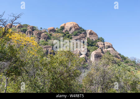 Auf der Suche nach einer Felsformation in Matobo National Park. Stockfoto