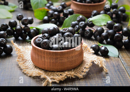 Schwarze Apfelbeere in Houten Stockfoto