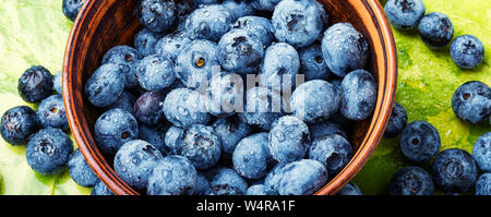 Frische Heidelbeeren mit Tropfen Wasser in der Schüssel Stockfoto
