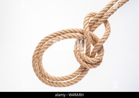 Palstek auf Bight Knoten auf weißem Hintergrund. Seil Knoten. Stockfoto