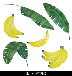 Aquarell von Hand bemalt Banane mit Bananen und Blätter isoliert auf weiß gesetzt, Banane Elemente für tropischen botanischen Design Stockfoto