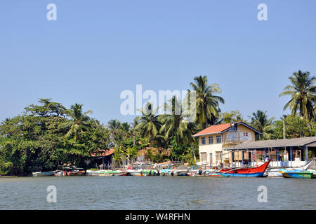 Sri Lanka, Balapitiya, Madu Ganga Fluss Stockfoto